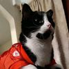 skarsgardthecitykitty