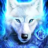 ice.wolf.8520