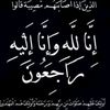 aminezer24