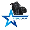 lidialstar