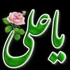 xd_6w