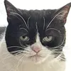 username_8764346789