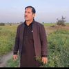 alamgir1121234