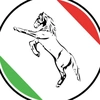 cavallo137