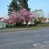 kenzak07