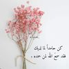 nooor758