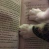 katereadsbooks0