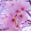 user5406967849847yadanar