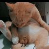 secrettaboo