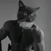 gumbro26