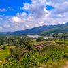 tranthinhu14808tiktok