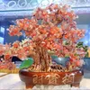 anhtraicafe1606