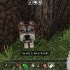 jesus_onm