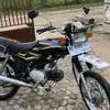 fandizii03