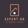 expert_666