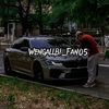 wengallbi_fan05