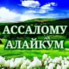 user2402747887330