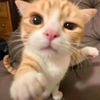 sagukeju_13