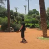 t_abbasi14