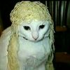 fideos_a