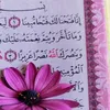rigae01eslam