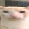 dyf3n7vfabkp