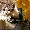 g1ll6