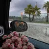 amani_8686