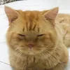 eyuuuuu__