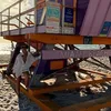 alespotter