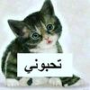 aboode_53