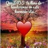 edisoneduardoburgosmerc0
