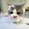 hii_iniyayaa4