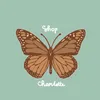 shopcharlottepr