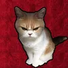 Angry_Cat