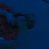 helena._.valentynne