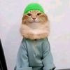0moamen_mahmoud0