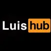 luishub10