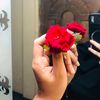 red_rose_035