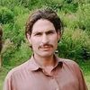 zaheerkashmiri121
