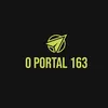 OPortal 163