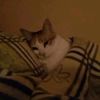 haily.lavita