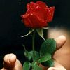 hasan272720