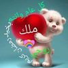 علي المصري659
