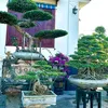 manhquyen681