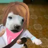 sammysomething8