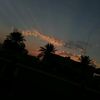 mohannd.99