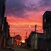jeko_2828