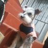 juancarlosgaaaa123