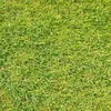 michael_98760